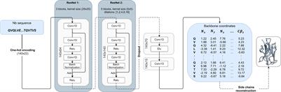 NanoNet: Rapid and accurate end-to-end nanobody modeling by deep learning